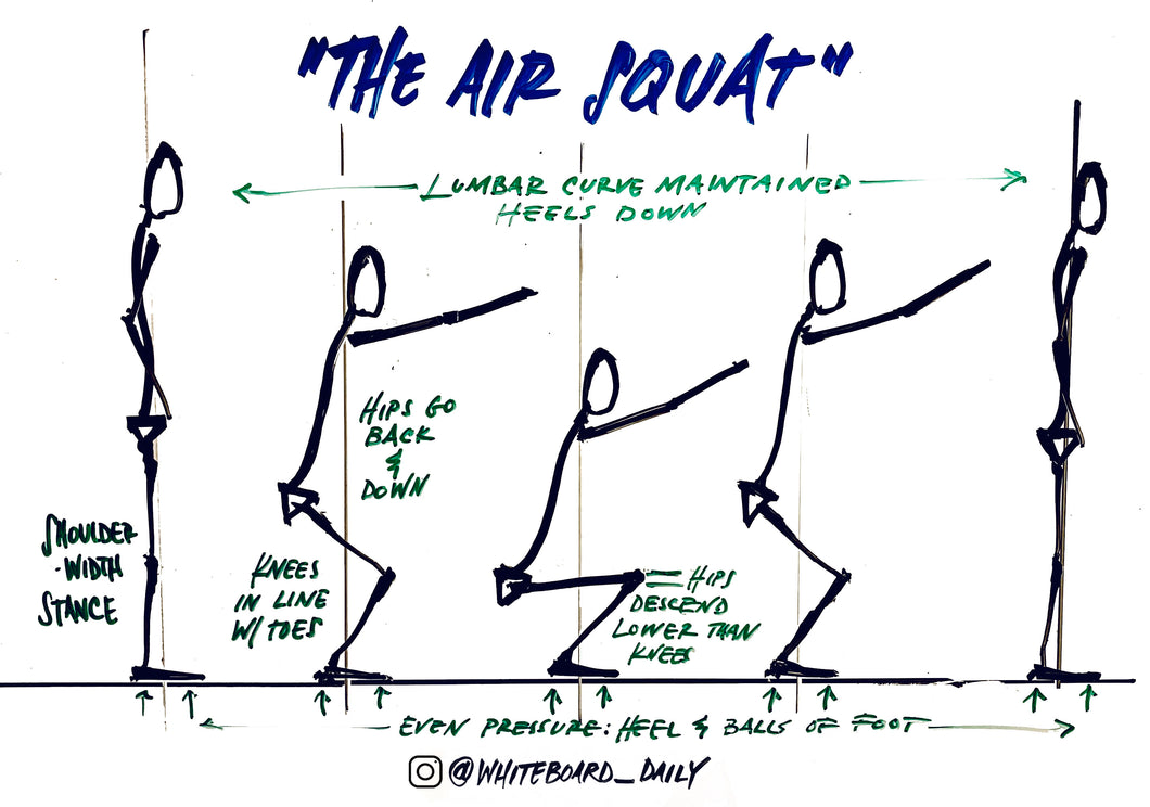 Digital Sketch: Air Squat Movement Sequence - Main Image