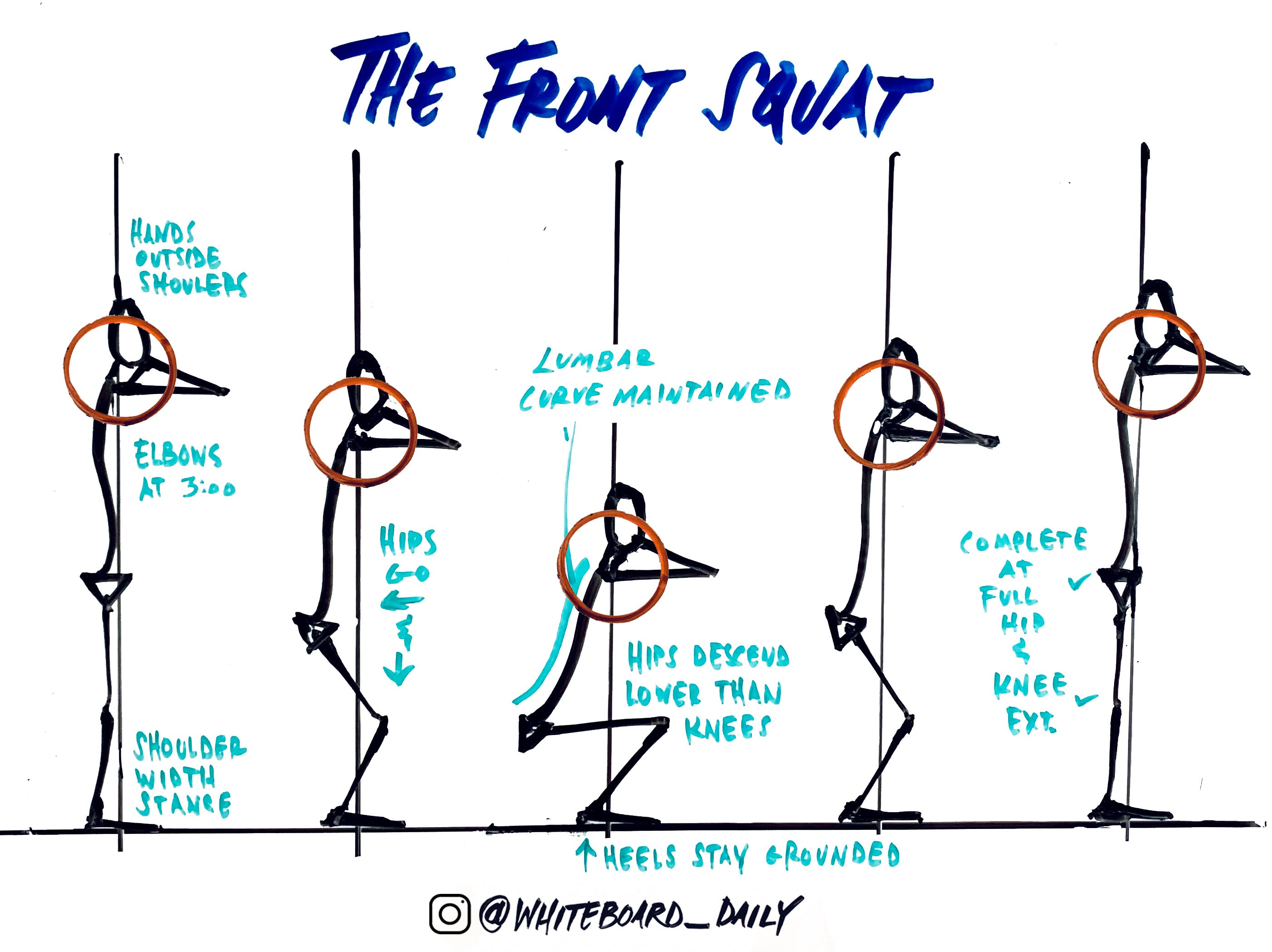 Squat Diagram