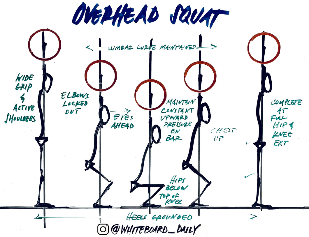 Digital Sketch: Overhead Squat Movement Sequence