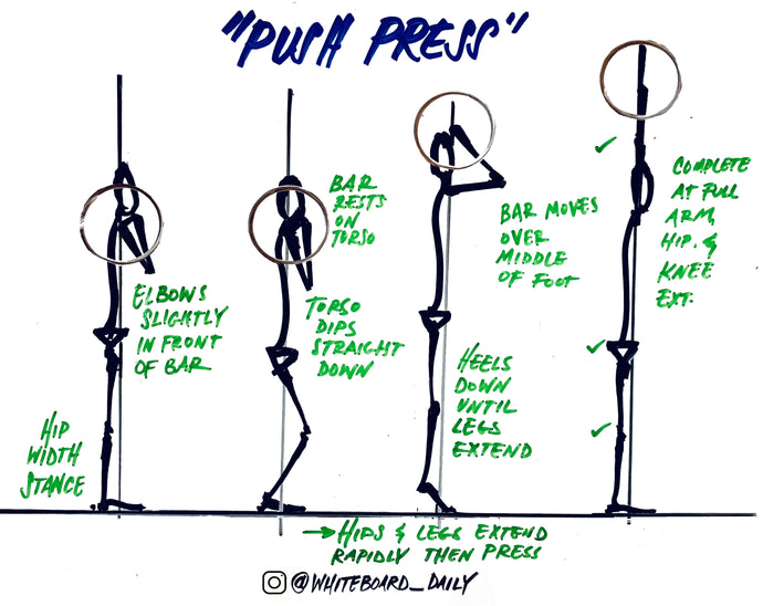 Digital Sketch: Push Press Movement Sequence