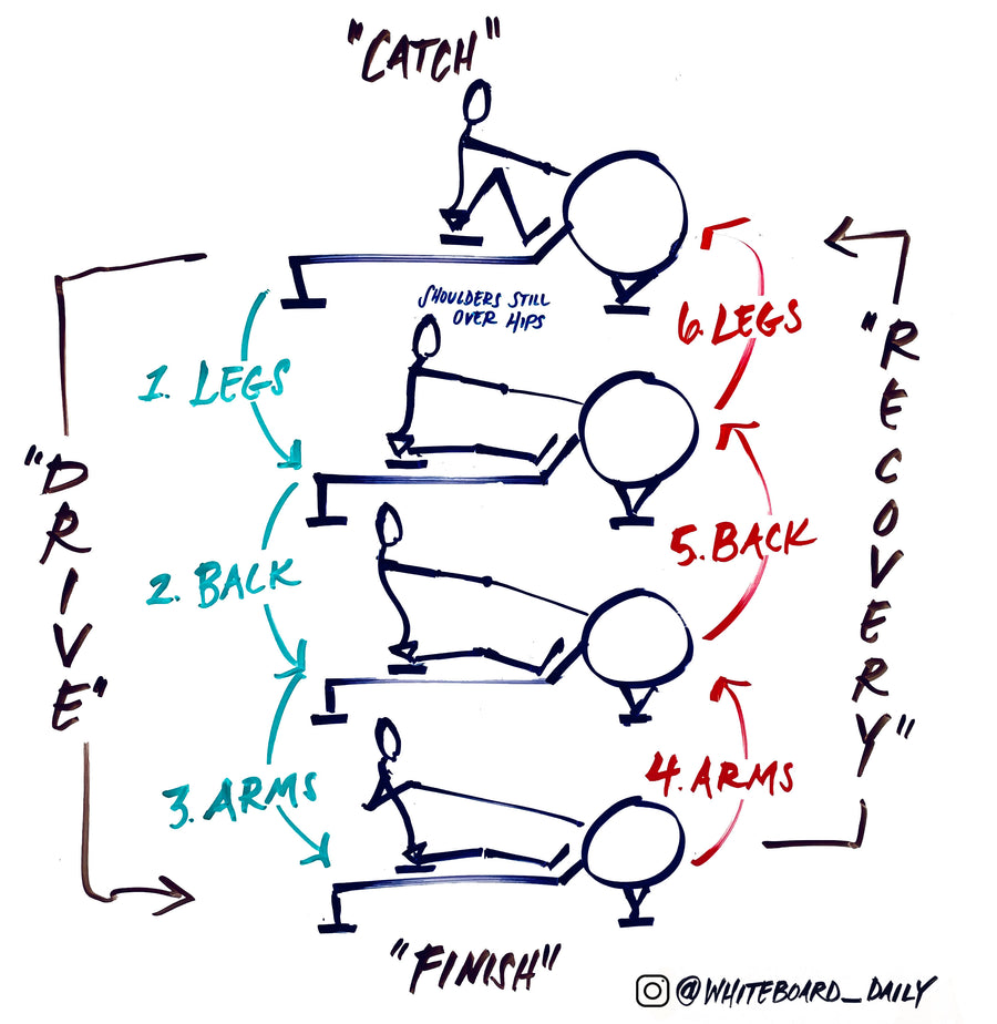 Digital Sketch: Movement Sequence - Rowing – Whiteboard Daily