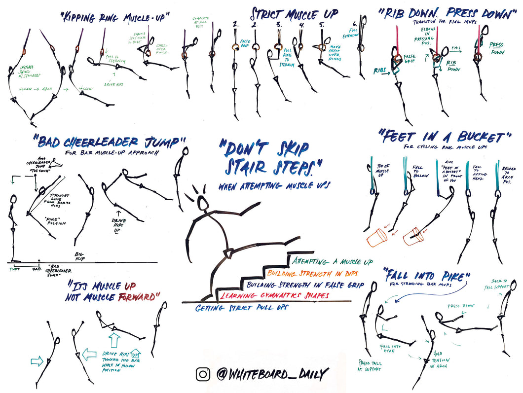 Digital Poster: Muscle-Up Cues - Full Color